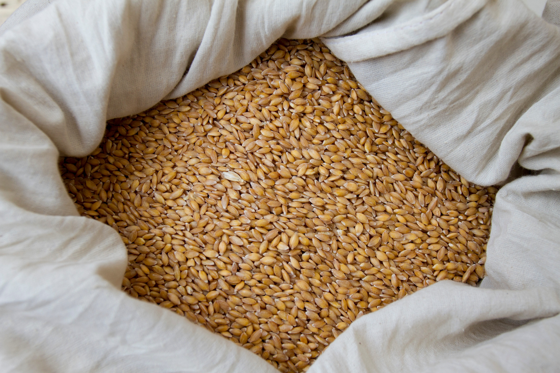 What is Heirloom Wheat? – Mother Earth News